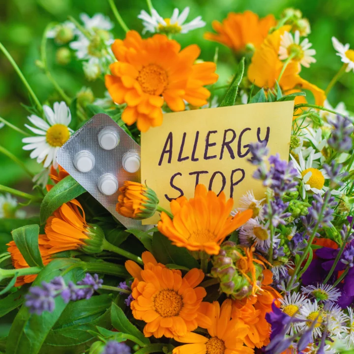 alergo