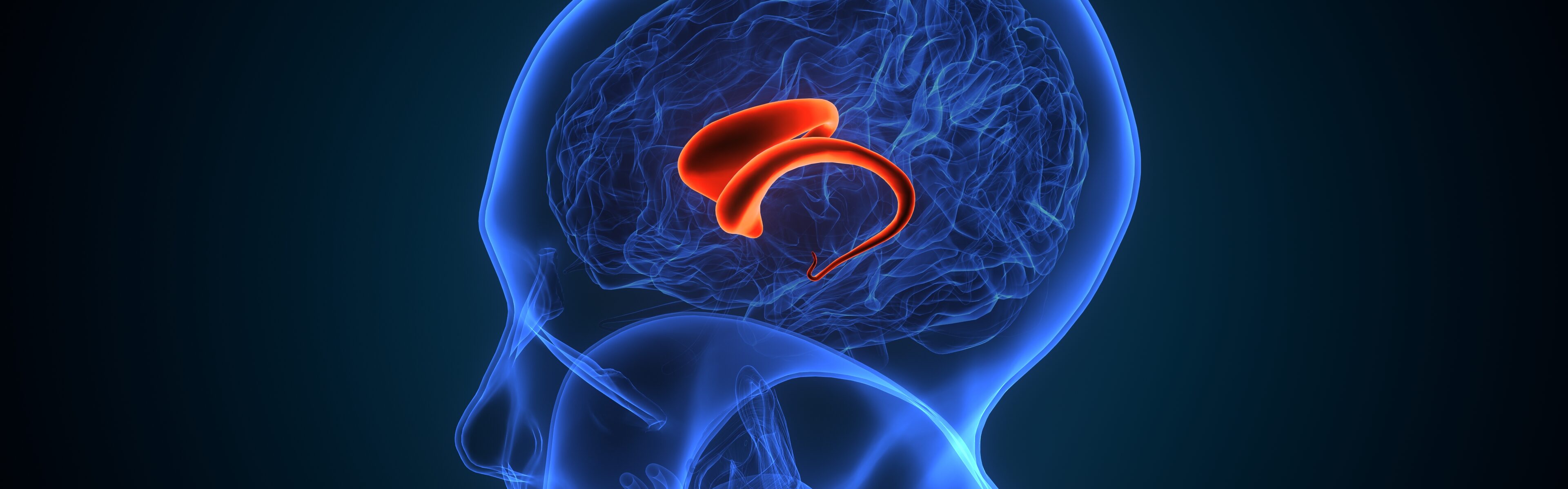 hormoni hipofize