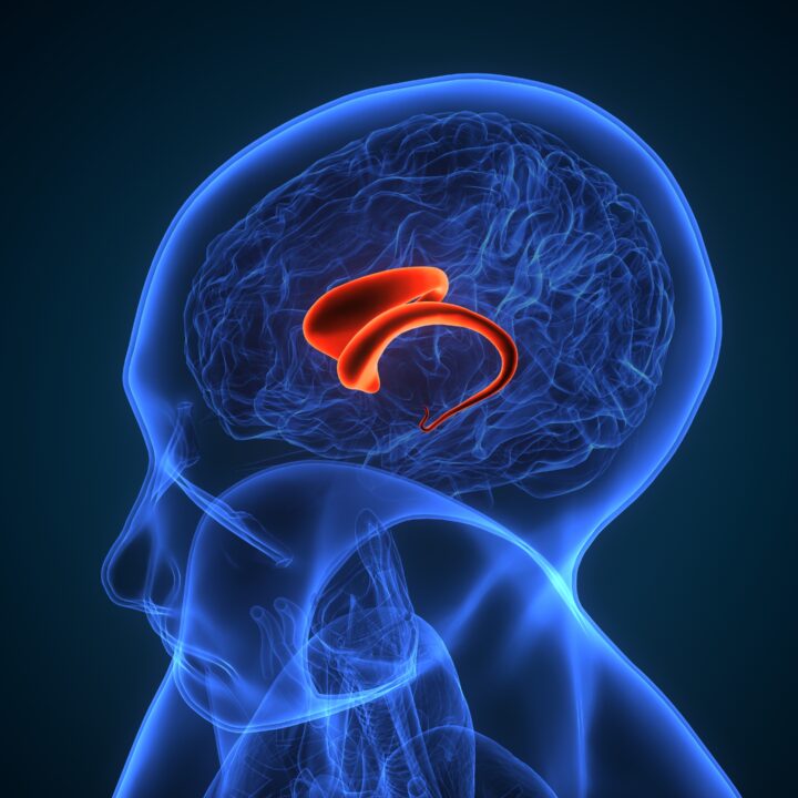 hormoni hipofize