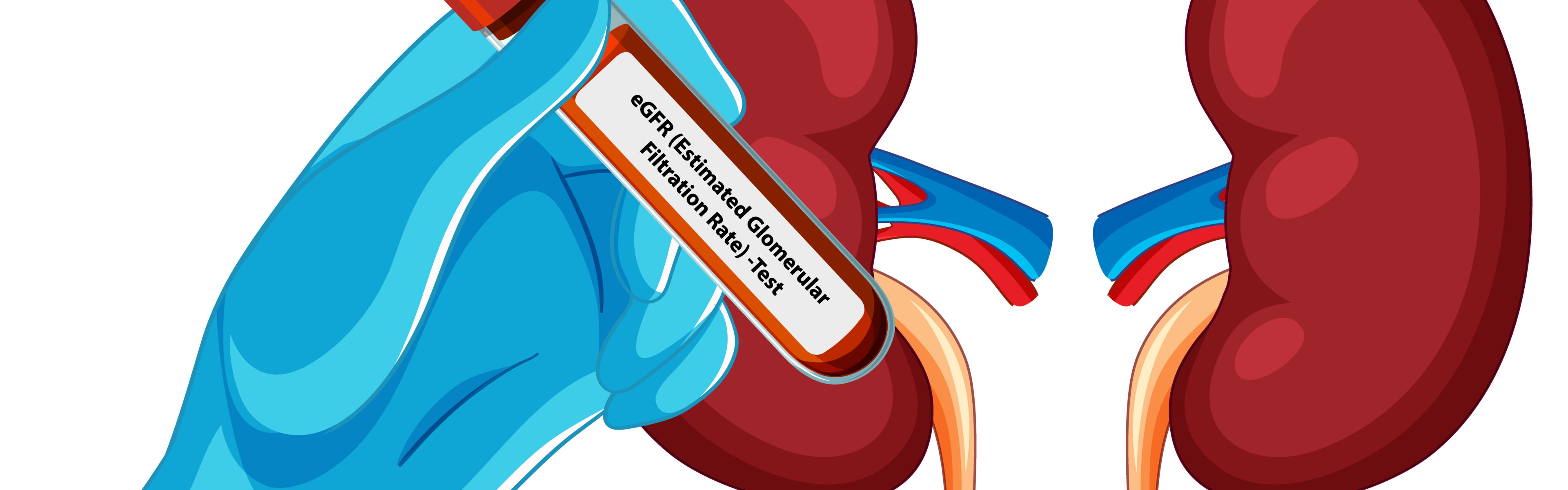 eGFR Procjena glomerularne filtracije