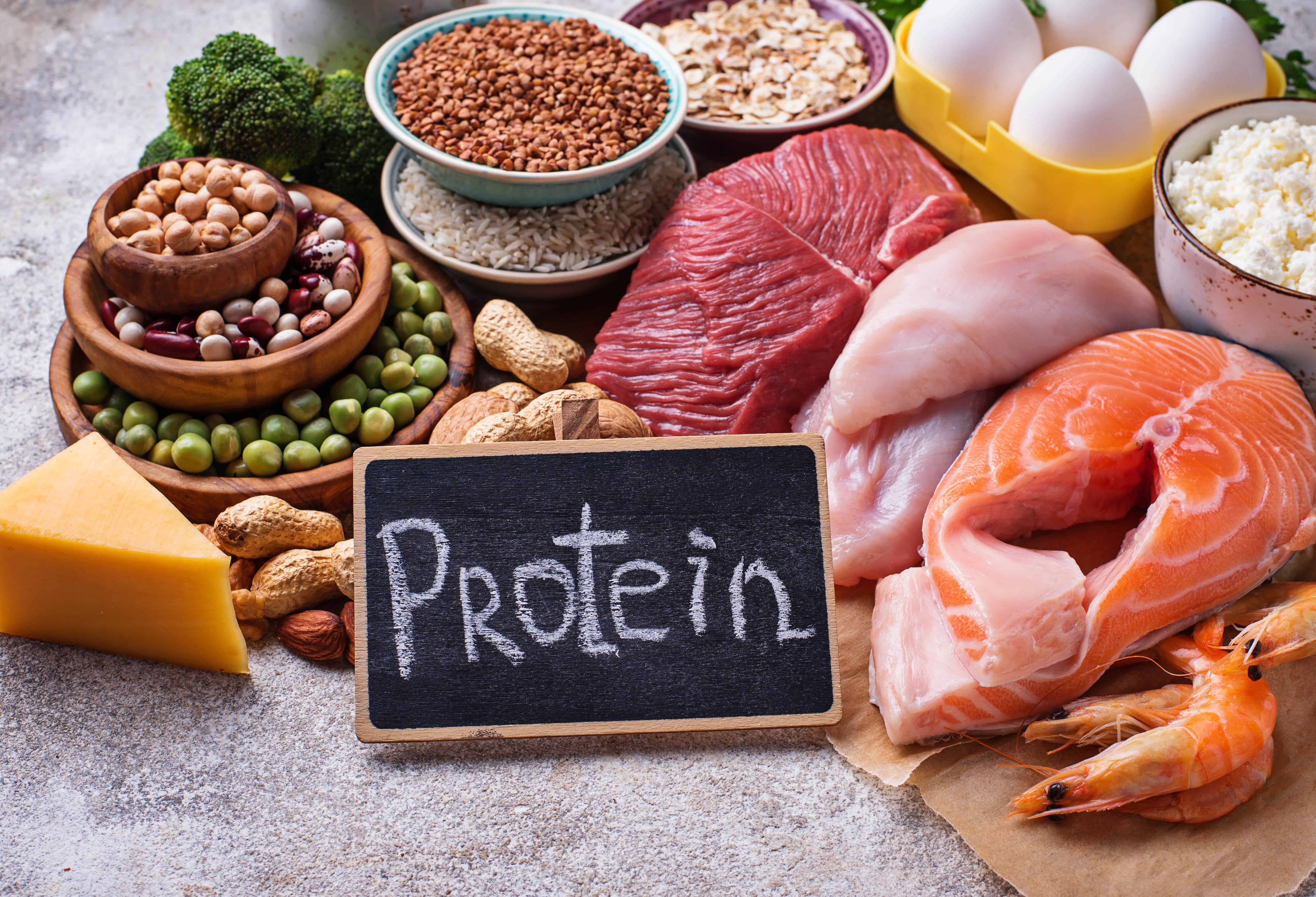 Kako proteinska dijeta utječe na zdravlje bubrega?